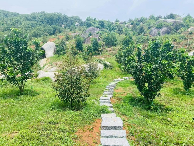 phi chuyen dat vuon len tho cu