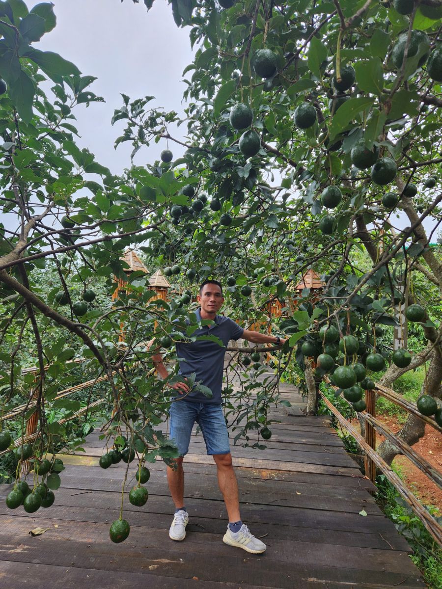 di đà lạt, hcm hè 2025