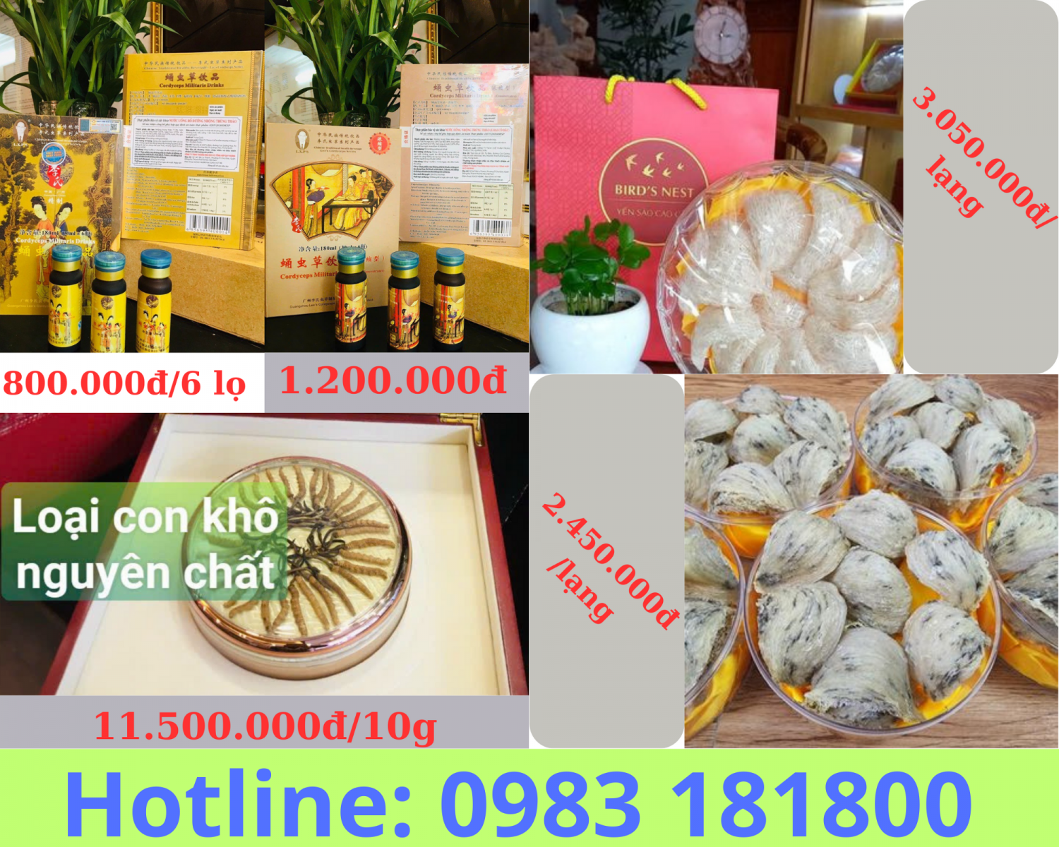 BÁN ĐÔNG TRÙNG HẠ THẢO - BÁN YẾN TỔ ban dong trung ha thao ban yen to