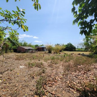 Đất lớn Nhơn Mỹ