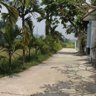 Đất Luật Chánh, Phước Hiệp