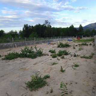 Đất lớn Phước Mỹ