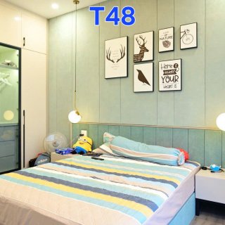 Nhà MT khu An Phú Thịnh